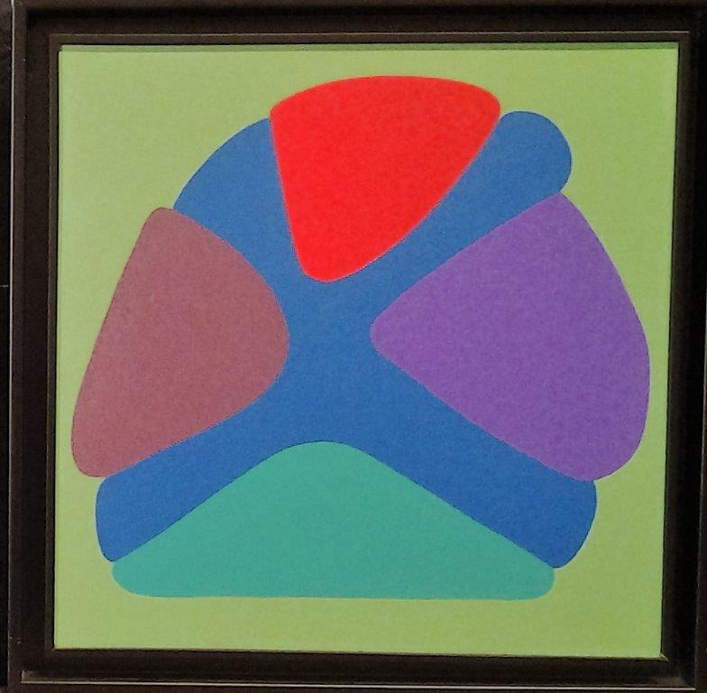 O.P Proliferazione di forme 40x40