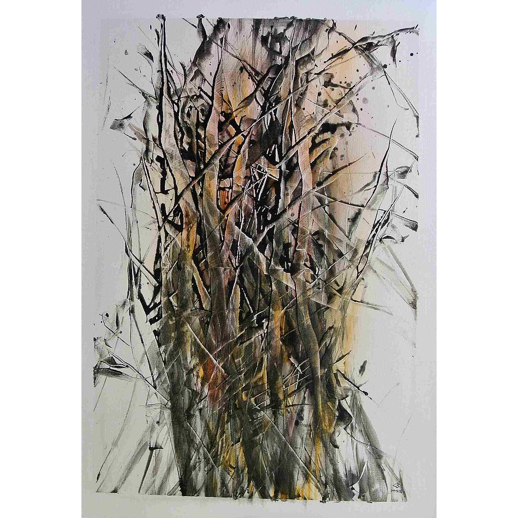 Piede a passo 70x100