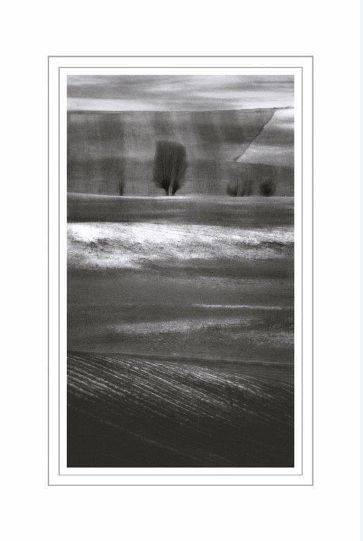 Grafica brinata b/nero 60x60