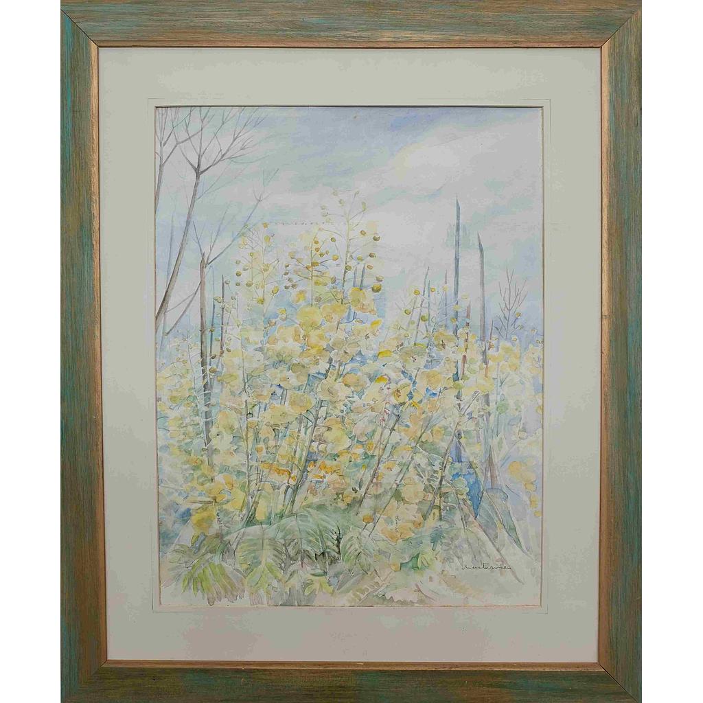 64.5x80 Esplosioni della natura