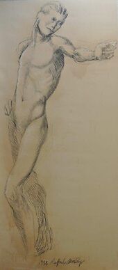 Studio di figura 105,5x231