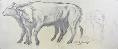 Mucche al pascolo 122,5x273