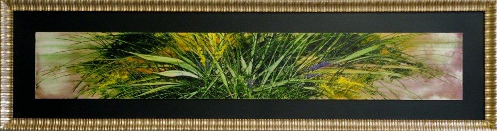 Forza della natura 24x152