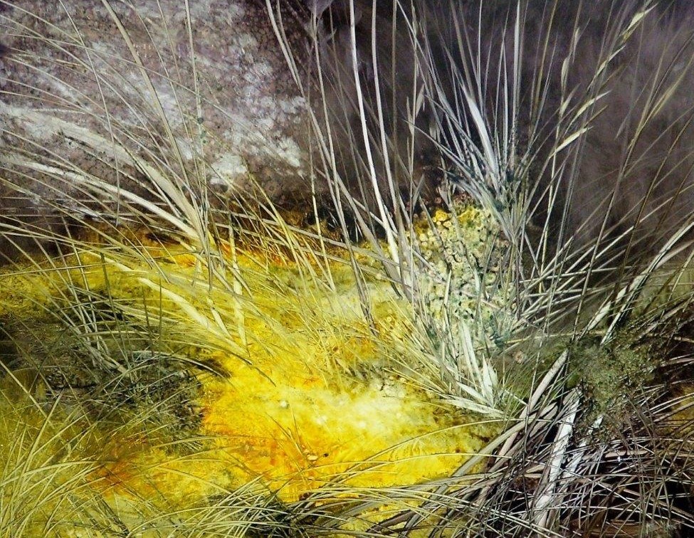 Forza della natura 70x90