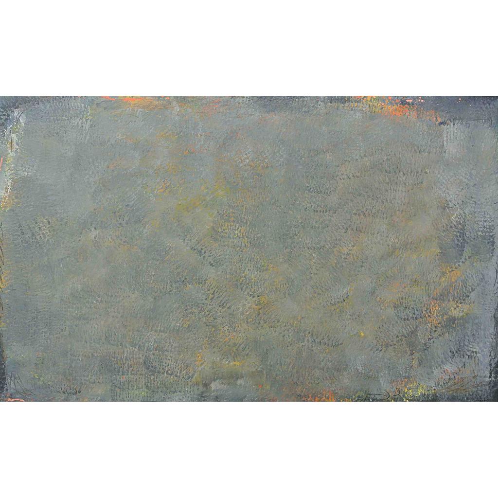 Dominanza in grigio 93x150