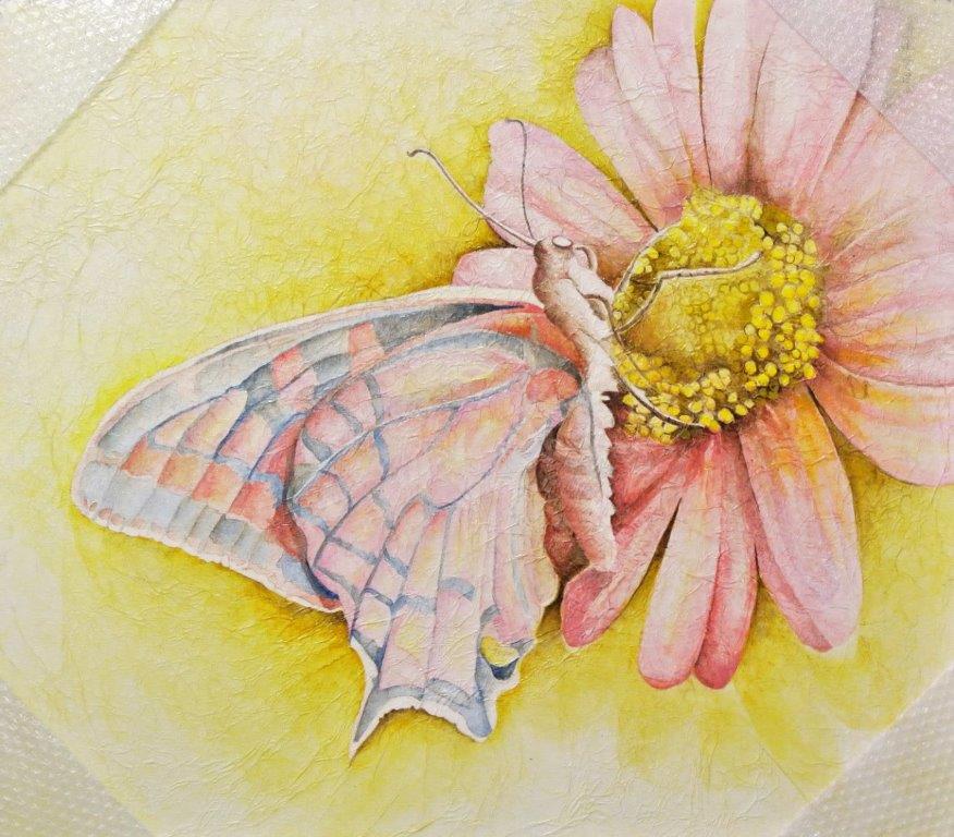 Fiori e farfalle 70x80