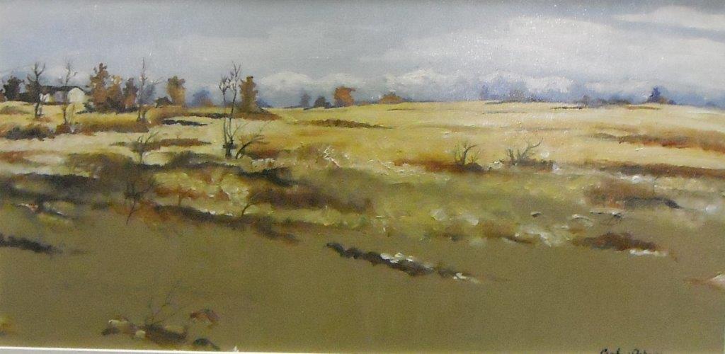 Paesaggio 25x50