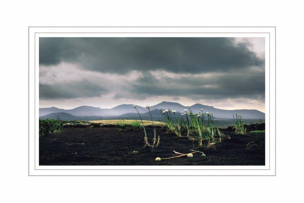 Grafica Tierra negra col. 100x150