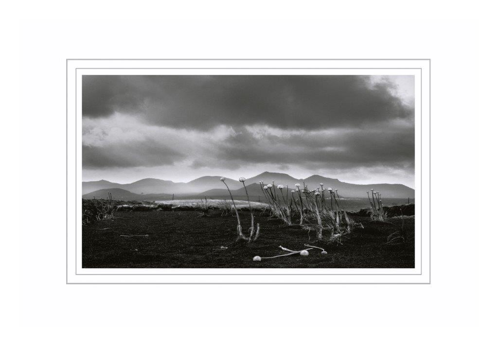 Grafica Tierra negra b/n. 100x150