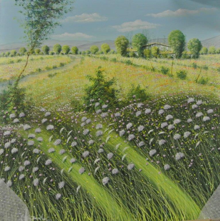 Fiori di campo 80x80