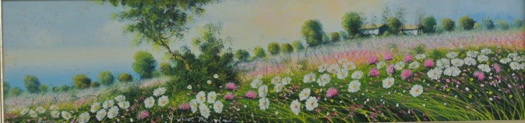 Campi in fiore 20x80