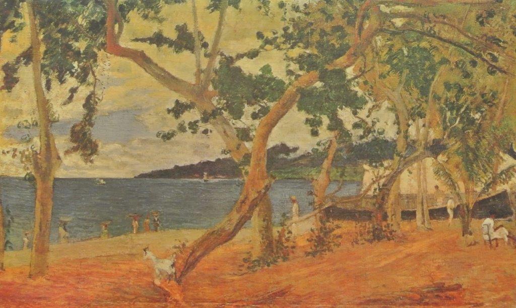 La baia di saint pierre alla martinica 60x100