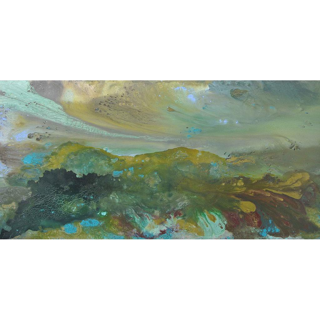 Aurora boreale 100x200