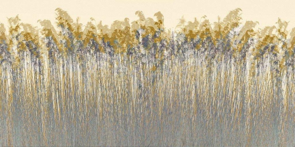 Steli lacustri 100x200