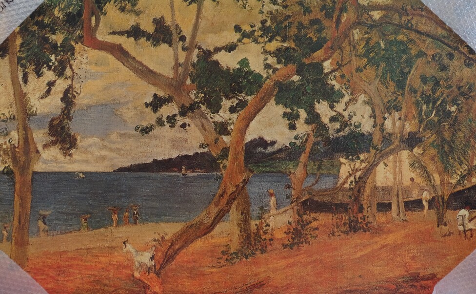 La baia di Pierre alla Martinica 80x100