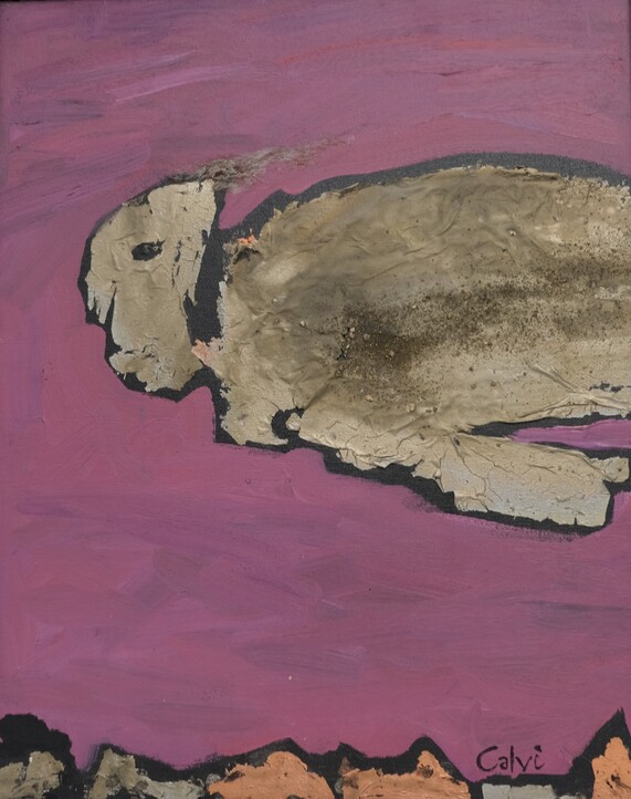 Tartaruga in rosa 40x50