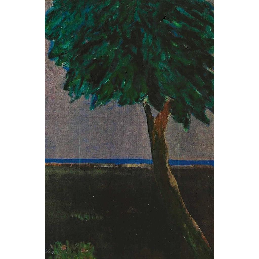 Il nespolo, il muro, il mare. 50x70