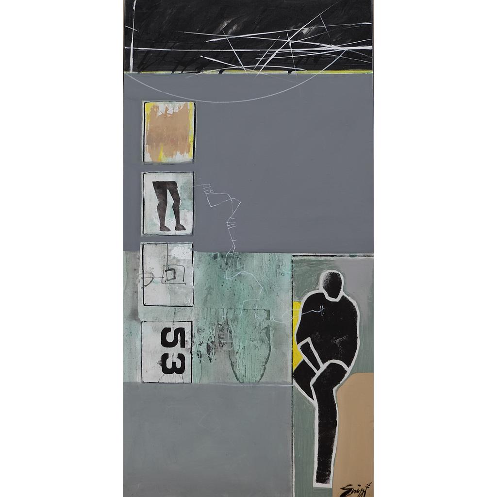 50x100 Comportamenti complessi