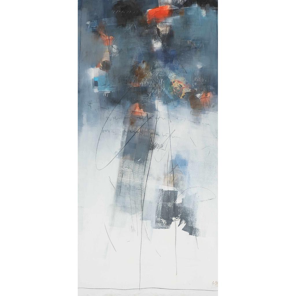 100x200  Segni  organizzati