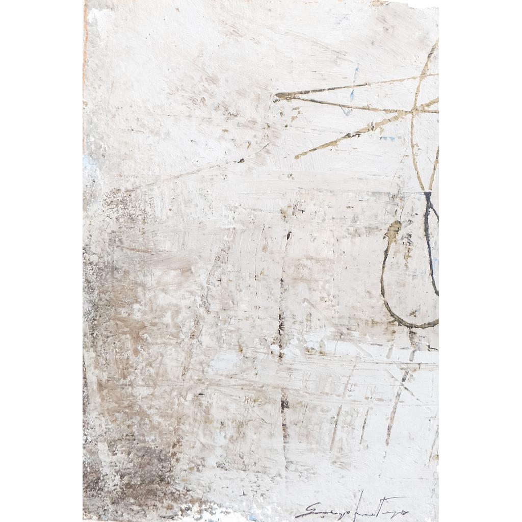 30x22 Muri veneziani