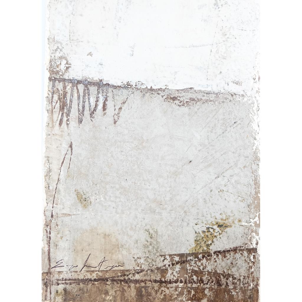 30x22 Pareti buranesi