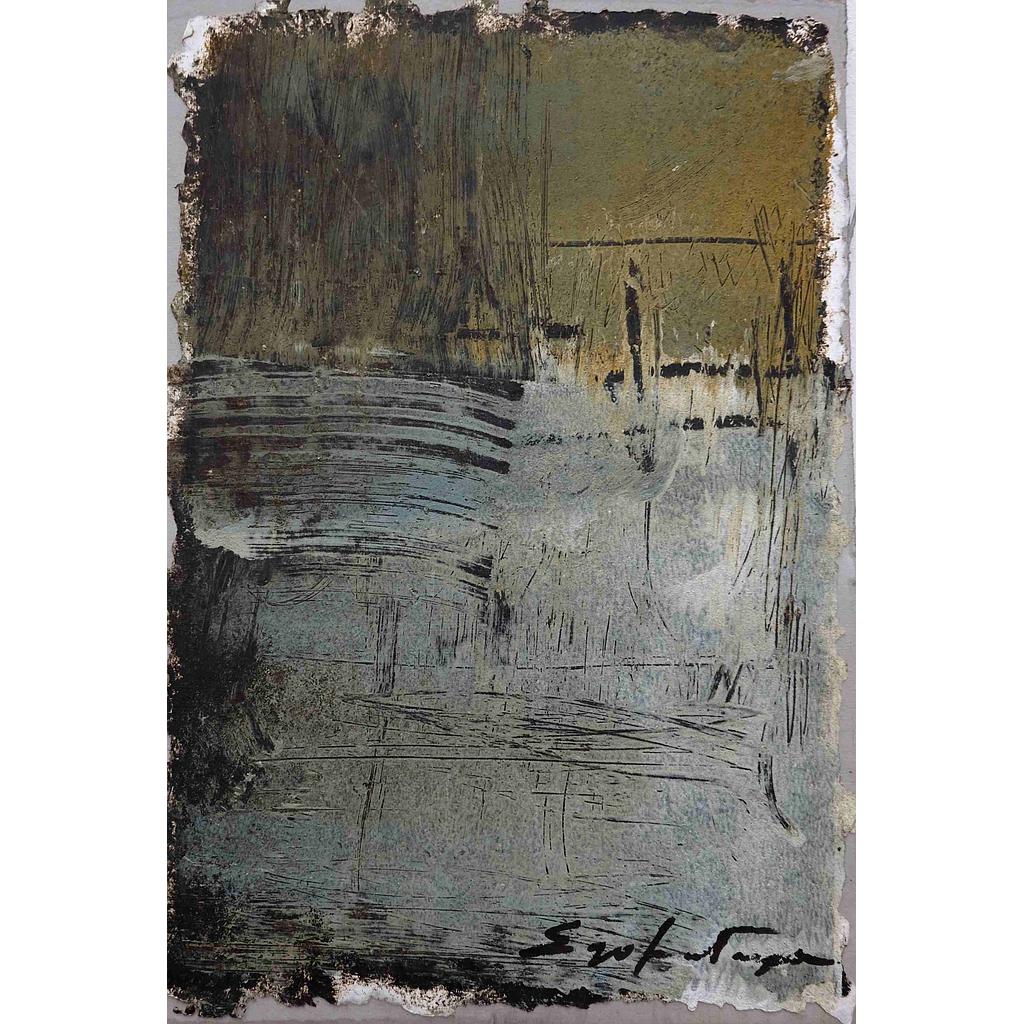 32.5X22.5  Indecisione del colore