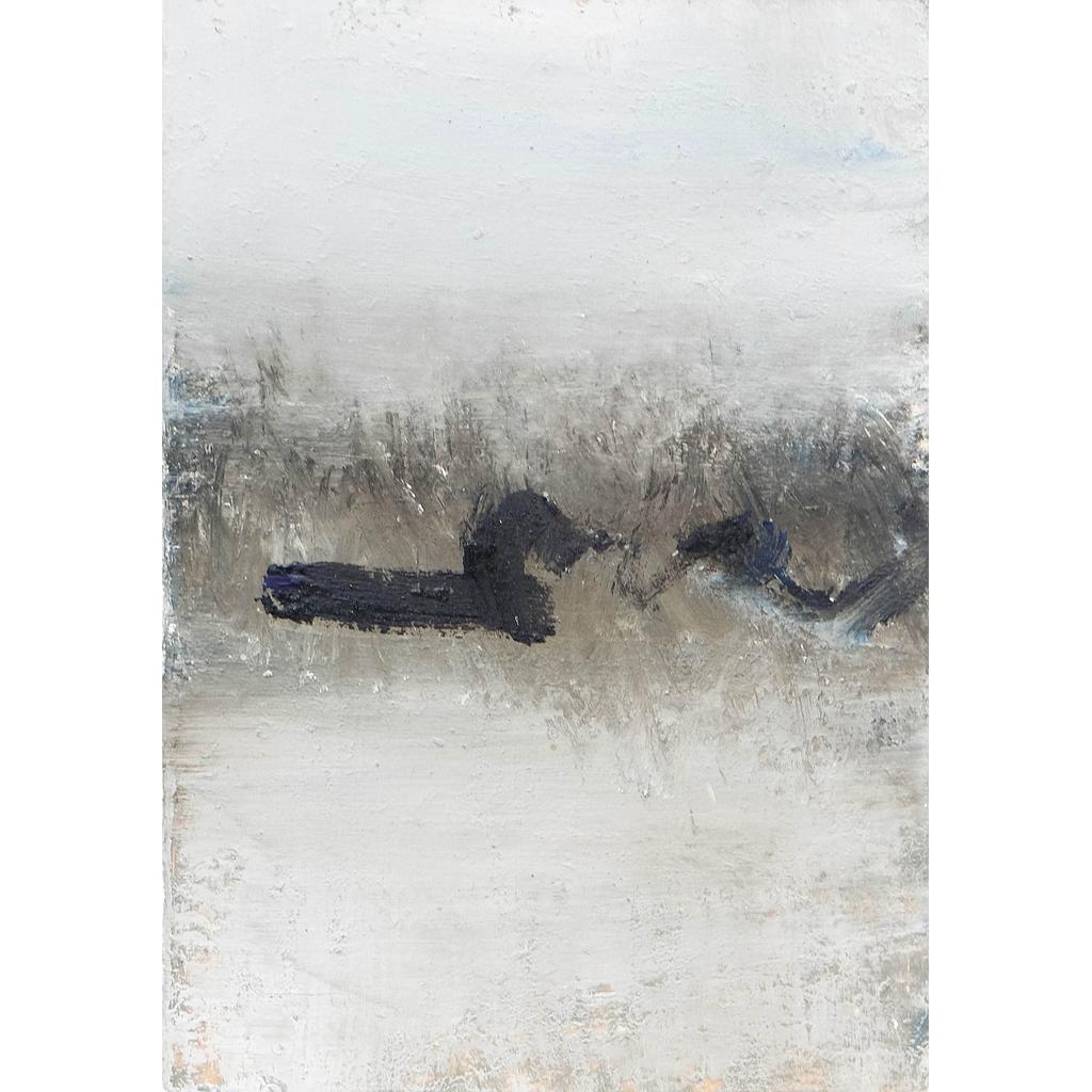 31x22 Linea di confine